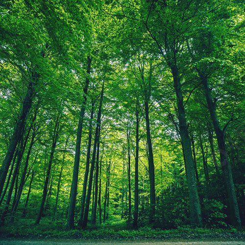 绿色包装评价报告